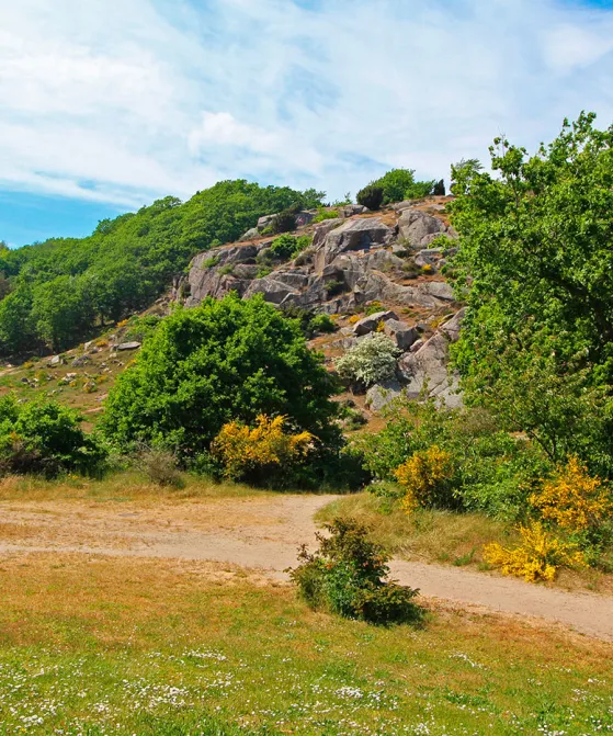 Nyd udsigten til de smukke klipper på Hammerknuden fra din terrasse på Sandvig Søpark
