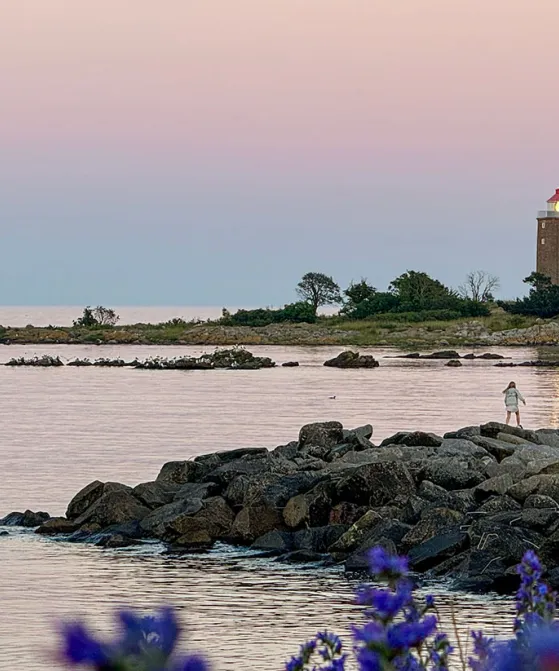 Smuk sommeraften i Svaneke