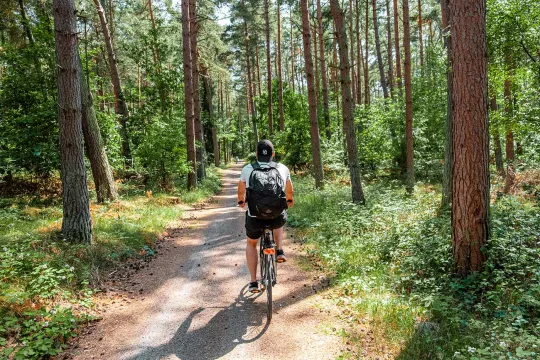 Med en cykelferie på Bornholm cykler du på anlagte cykelstier i skov og langs kysten
