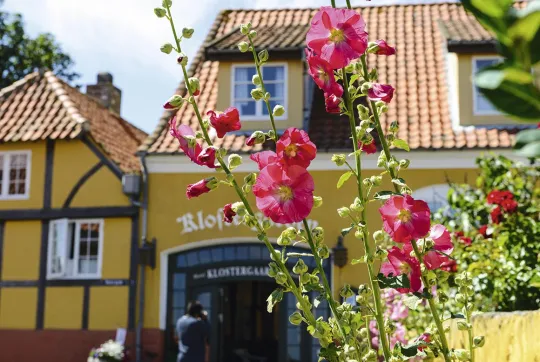 Den gamle bydel i Allinge er charmerende