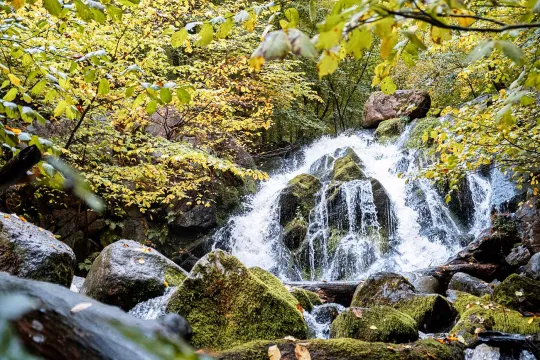 Besøg Døndalen i efteråret og oplev det smukke vandfald